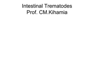 Intestinal Trematodes Prof. CM.Kihamia 
