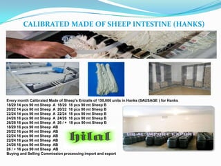 CALIBRATED MADE OF SHEEP INTESTINE (HANKS)

Every month Calibrated Made of Sheep's Entrails of 150,000 units in Hanks (SAUSAGE ) for Hanks
18/20 14 pcs 90 mt Sheep A 18/20 18 pcs 90 mt Sheep B
20/22 14 pcs 90 mt Sheep A 20/22 18 pcs 90 mt Sheep B
22/24 14 pcs 90 mt Sheep A 22/24 18 pcs 90 mt Sheep B
24/26 16 pcs 90 mt Sheep A 24/26 18 pcs 90 mt Sheep B
26/28 16 pcs 90 mt Sheep A 26 / + 18 pcs 90 mt Sheep B
18/20 16 pcs 90 mt Sheep AB
20/22 16 pcs 90 mt Sheep AB
22/24 16 pcs 90 mt Sheep AB
22/24 16 pcs 90 mt Sheep AB
24/26 16 pcs 90 mt Sheep AB
26 / + 16 pcs 90 mt Sheep AB
Buying and Selling Commission processing import and export

 
