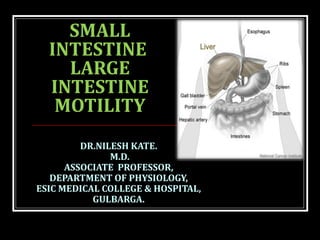 SMALL
INTESTINE
LARGE
INTESTINE
MOTILITY
DR.NILESH KATE.
M.D.
ASSOCIATE PROFESSOR,
DEPARTMENT OF PHYSIOLOGY,
ESIC MEDICAL COLLEGE & HOSPITAL,
GULBARGA.
 