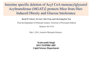Intestine specific deletion of Acyl CoA monoacylglycerol
Acyltransferase (MGAT)2 protects Mice from Diet-
Induced Obesity and Glucose Intolerance
May 1, 2014., Journal of Biological Sciences
Yeshwanthi Singh
DST INSPIRE-JRF
Lipid Science Department
 