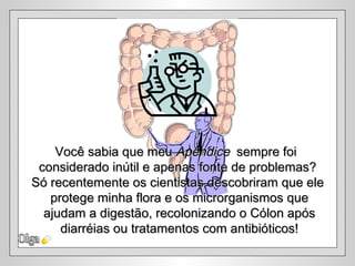 Você sabia que meu Apêndice sempre foi
 considerado inútil e apenas fonte de problemas?
Só recentemente os cientistas descobriram que ele
   protege minha flora e os microrganismos que
  ajudam a digestão, recolonizando o Cólon após
     diarréias ou tratamentos com antibióticos!
 