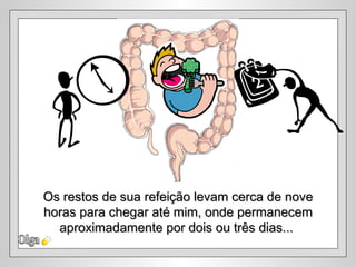 Os restos de sua refeição levam cerca de nove
horas para chegar até mim, onde permanecem
  aproximadamente por dois ou três dias...
 