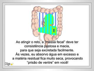Ao atingir o reto, a “massa fecal” deve ter
        consistência pastosa e macia,
     para que seja excretada facilmente.
  Às vezes, eu absorvo água em excesso e
a matéria residual fica muito seca, provocando
         “prisão de ventre” em você!
 