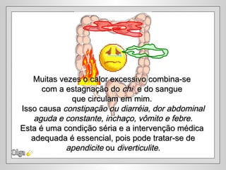 Muitas vezes o calor excessivo combina-se
      com a estagnação do chi e do sangue
             que circulam em mim.
Isso causa constipação ou diarréia, dor abdominal
    aguda e constante, inchaço, vômito e febre.
Esta é uma condição séria e a intervenção médica
   adequada é essencial, pois pode tratar-se de
            apendicite ou diverticulite.
 