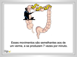 Esses movimentos são semelhantes aos de
um verme, e se produzem 7 vezes por minuto.
 