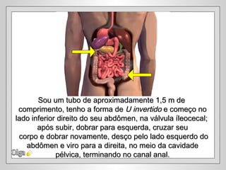 Sou um tubo de aproximadamente 1,5 m de
 comprimento, tenho a forma de U invertido e começo no
lado inferior direito do seu abdômen, na válvula íleocecal;
       após subir, dobrar para esquerda, cruzar seu
 corpo e dobrar novamente, desço pelo lado esquerdo do
   abdômen e viro para a direita, no meio da cavidade
             pélvica, terminando no canal anal.
 