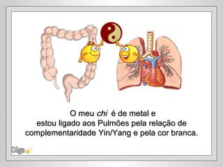 O meu chi é de metal e
  estou ligado aos Pulmões pela relação de
complementaridade Yin/Yang e pela cor branca.
 