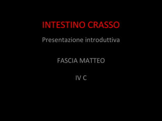 INTESTINO CRASSO
Presentazione introduttiva
FASCIA MATTEO
IV C
 