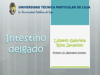 Lisbeth Gabriela
Ríos Jaramillo
Profesor: Dr. Washington Orellana
 
