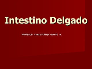 Intestino Delgado PROFESOR: CHRISTOPHER WHITE  B. 