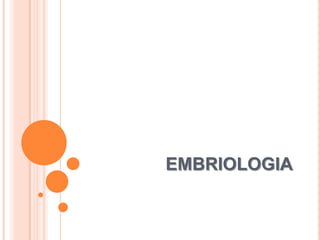 EMBRIOLOGIA