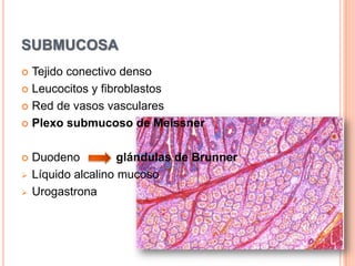 En espacios intervellosos