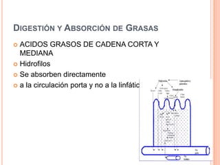        2 K+ extracelularesDependiente de energíaTransporte:        Na+ desde la luz intestinal                                 Citoplasma enterocito