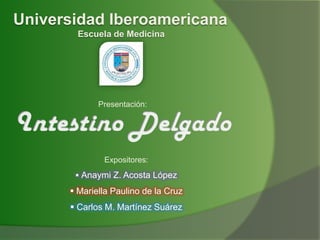 Universidad Iberoamericana Escuela de Medicina Presentación: Intestino Delgado Expositores: ,[object Object]