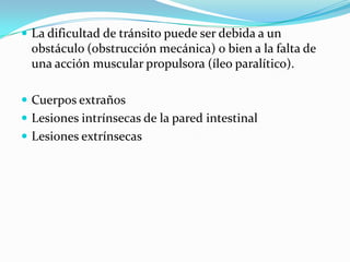 La dificultad de tránsito puede ser debida a un obstáculo (obstrucción mecánica) o bien a la falta de una acción muscular propulsora (íleo paralítico). Cuerpos extraños Lesiones intrínsecas de la pared intestinal Lesiones extrínsecas 
