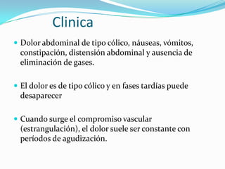 ClinicaDolor abdominal de tipo cólico, náuseas, vómitos, constipación, distensión abdominal y ausencia de eliminación de gases. El dolor es de tipo cólico y en fases tardías puede desaparecerCuando surge el compromiso vascular (estrangulación), el dolor suele ser constante con períodos de agudización.