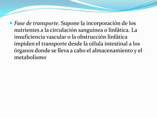 Fase de transporte. Supone la incorporación de los nutrientes a la circulación sanguínea o linfática. La insuficiencia vascular o la obstrucción linfática impiden el transporte desde la célula intestinal a los órganos donde se lleva a cabo el almacenamiento y el metabolismo