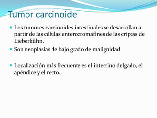  Fliares. de 1er. orden