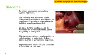 Patología de intestino delgado