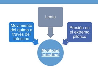 Motilidad
intestinal
Movimiento
del quimo a
través del
intestino
Lenta
Presión en
el extremo
pilórico
 