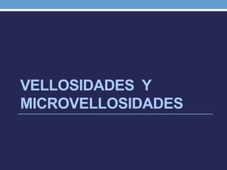 VELLOSIDADES Y
MICROVELLOSIDADES
 