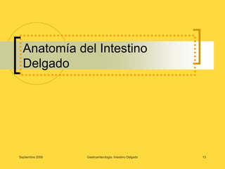 Septiembre 2009Gastroenterología. Intestino Delgado13Anatomía del Intestino Delgado