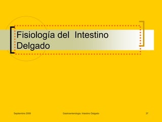 Septiembre 2009Gastroenterologia. Intestino Delgado37Fisiología del  Intestino Delgado 