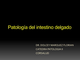 Patología del intestino delgado


             DR. DOLCEY MARQUEZ FLORIAN
             CATEDRA PATOLOGIA II
             CORSALUD
 