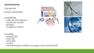 INSTRUMENTAL
Caja general
Clamps intestinales
ELEMENTOS
- cable de electrobisturi
- caucho de succión
- jeringas
- mango de cielitica
SUTURAS:
- polycot 3/0
- seda 3/0
- vicryl 3/0
- vicryl 0
- monofilamento sintético con aguja curva cortante 3/0
 