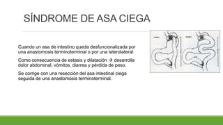 SÍNDROME DE ASA CIEGA
Cuando un asa de intestino queda desfuncionalizada por
una anastomosis terminoterminal o por una laterolateral.
Como consecuencia de estasis y dilatación  desarrolla
dolor abdominal, vómitos, diarrea y pérdida de peso.
Se corrige con una resección del asa intestinal ciega
seguida de una anastomosis terminoterminal.
 