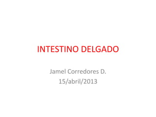 INTESTINO DELGADO

  Jamel Corredores D.
     15/abril/2013
 