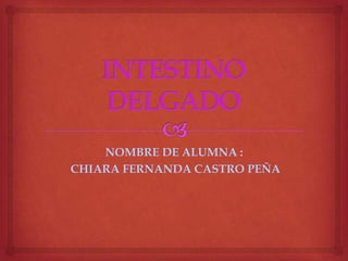 NOMBRE DE ALUMNA :
CHIARA FERNANDA CASTRO PEÑA
 