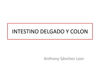 INTESTINO DELGADO Y COLON
Anthony Sánchez Loor
 