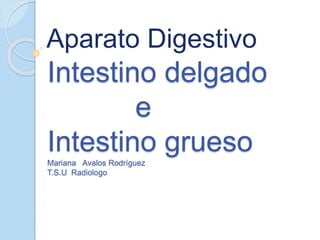 Intestino delgado
e
Intestino gruesoMariana Avalos Rodríguez
T.S.U Radiologo
Aparato Digestivo
 