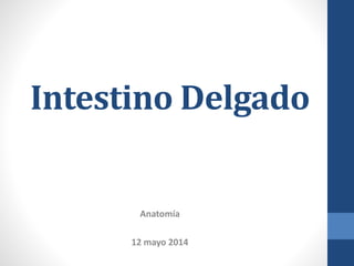 Intestino Delgado
Anatomía
12 mayo 2014
 