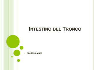 INTESTINO DEL TRONCO
• Melissa Mora
 