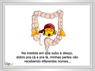 Olga Na medida em que subo e desço,  dobro pra cá e pra lá, minhas partes vão  recebendo diferentes nomes... 