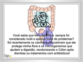 Olga Você sabia que meu  Apêndice   sempre foi  considerado inútil e apenas fonte de problemas? Só recentemente os cientistas descobriram que ele protege minha flora e os microrganismos que ajudam a digestão, recolonizando o Cólon após diarréias ou tratamentos com antibióticos! 