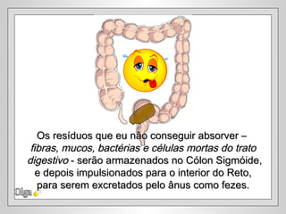 Olga Os resíduos que eu não conseguir absorver –  fibras, mucos, bactérias e células mortas do trato digestivo  - serão armazenados no Cólon Sigmóide, e depois impulsionados para o interior do Reto,  para serem excretados pelo ânus como fezes. 