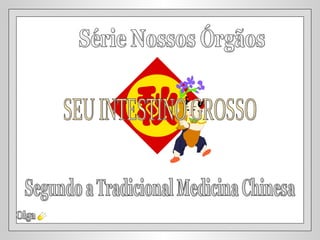 Segundo a Tradicional Medicina Chinesa Olga Série Nossos Órgãos SEU INTESTINO GROSSO 