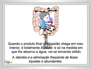 Olga Quando o produto final da digestão chega em meu  interior, é totalmente  líquido   e só na medida em que lhe absorvo a água, vai se tornando sólido. A  diarréia é a eliminação freqüente de fezes  líquidas e abundantes . 