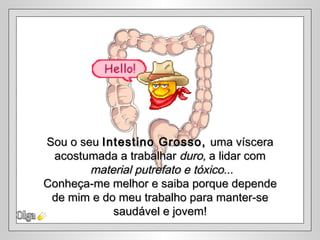 Olga Sou o seu  Intestino Grosso,  uma víscera acostumada a trabalhar  duro,  a lidar com material putrefato e tóxico... Conheça-me melhor e saiba porque depende de mim e do meu trabalho para manter-se  saudável e jovem! 