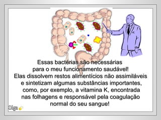 Olga Essas bactérias são necessárias  para o meu funcionamento saudável! Elas dissolvem restos alimentícios não assimiláveis  e  sintetizam algumas substâncias importantes, como, por exemplo, a vitamina K, encontrada nas folhagens e responsável pela coagulação normal do seu sangue!   