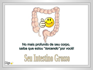 Olga Seu Intestino Grosso No mais profundo de seu corpo,  saiba que estou “ torcendo”  por você! 