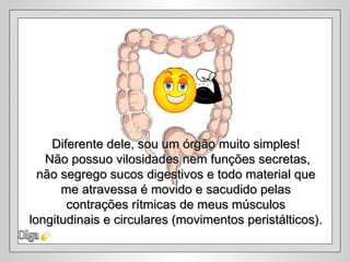 Olga Diferente dele, sou um órgão muito simples! Não possuo vilosidades nem funções secretas, não segrego sucos digestivos e todo material que me atravessa é movido e sacudido pelas  contrações rítmicas de meus músculos longitudinais e circulares (movimentos peristálticos).  