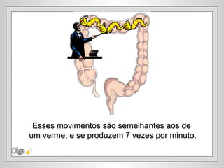 Olga Esses movimentos são semelhantes aos de um verme, e se produzem 7 vezes por minuto. 