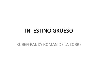 INTESTINO GRUESO

RUBEN RANDY ROMAN DE LA TORRE
 