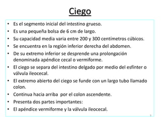 Ciego 
• Es el segmento inicial del intestino grueso. 
• Es una pequeña bolsa de 6 cm de largo. 
• Su capacidad media varia entre 200 y 300 centímetros cúbicos. 
• Se encuentra en la región inferior derecha del abdomen. 
• De su extremo inferior se desprende una prolongación 
denominada apéndice cecal o vermiforme. 
• El ciego se separa del intestino delgado por medio del esfínter o 
válvula ileocecal. 
• El extremo abierto del ciego se funde con un largo tubo llamado 
colon. 
• Continua hacia arriba por el colon ascendente. 
• Presenta dos partes importantes: 
• El apéndice vermiforme y la válvula ileocecal. 
9 
 
