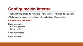 Anatomia Intestino Grueso Colon PPTX anatomia-intestino-grueso-colon-pptx