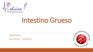 Intestino Grueso
ANATOMIA
GUSTAVO J. BARRON
 